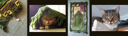 Ramadhan &amp; Mimi the Muslimah Cat